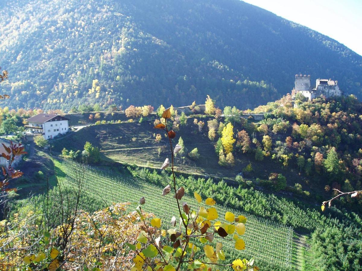 Schlosshof Zu Montani Morter Kültér fotó