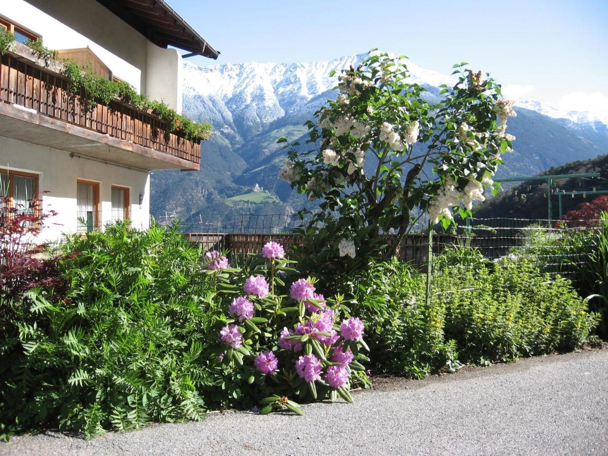 Schlosshof Zu Montani Morter Kültér fotó
